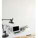 12X24 Blanco White