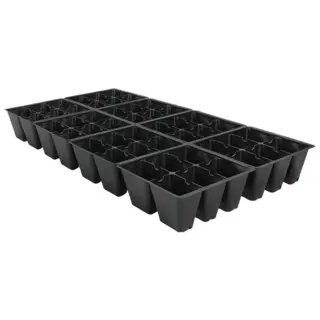 Trays, Domes, and Containers