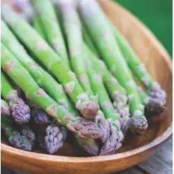 Asparagus - Mary Washington (Bulk Seed)
