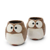Tea Set Owl Brown