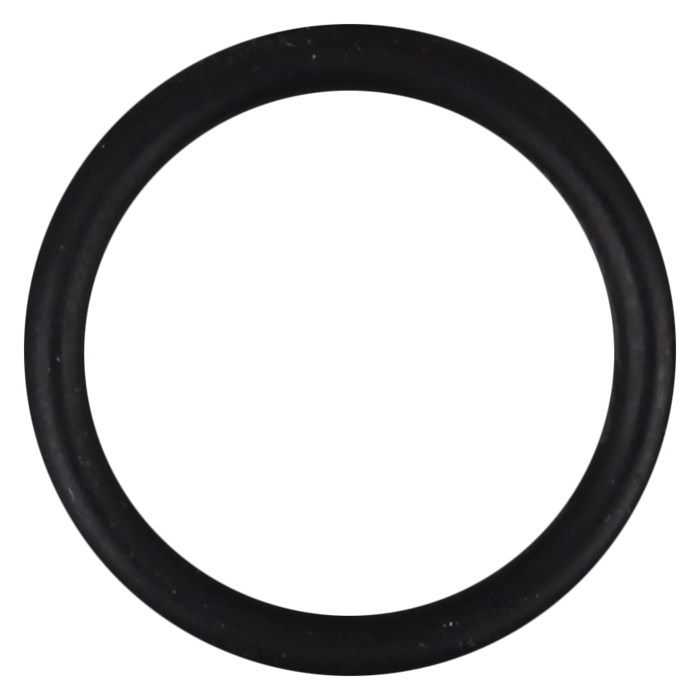 O-Ring (OR-PP-356)