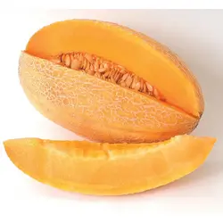 Cantaloupe - Sweet Granite (Bulk Seed)