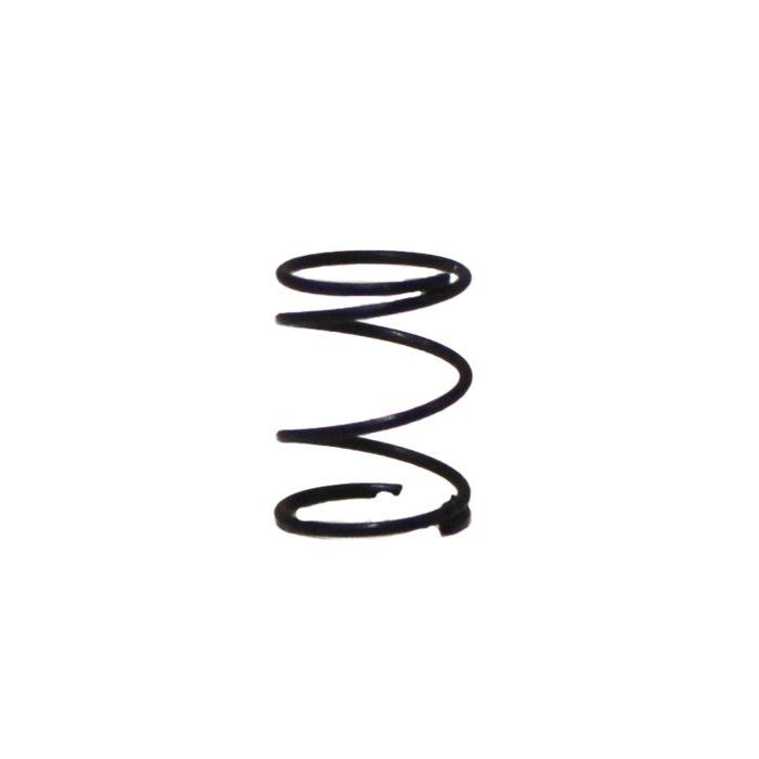 Valve Spring (RE-PA097748)