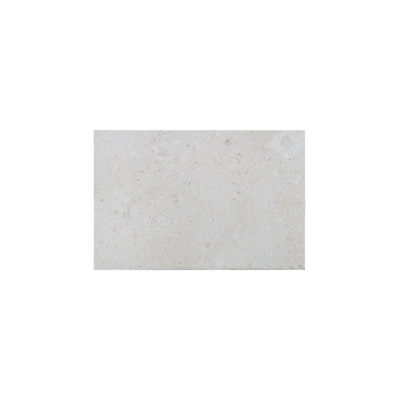 24X48 Shell Stone