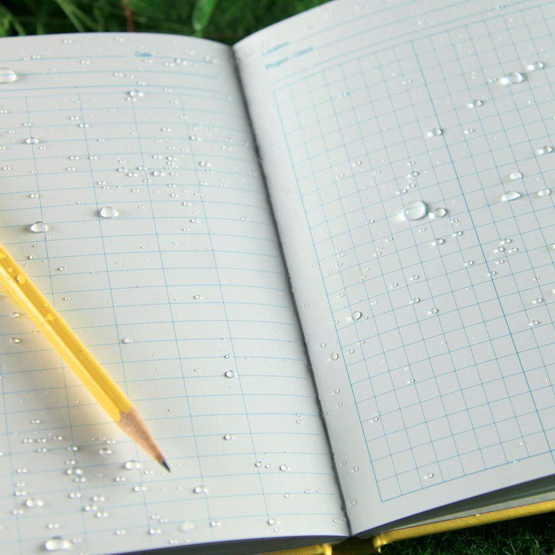 Enironmental book open with drops of water covering page and a pencil.