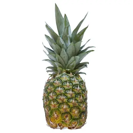 PINEAPPLES OG | 8 CT