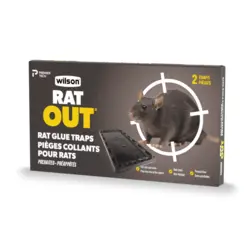 Wilson RatOut Glue Trap