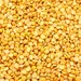 BEANS YELLOW SPLIT OG | 25 LBS