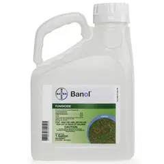 Banol