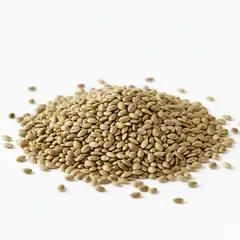 SEEDS HEMP OG | 50 LBS