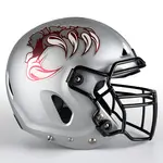 Matte Chrome Football Helmet Decals