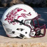 Military Appreciation Camo Football Helmet Decals
