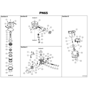 PN65