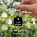 Mystery Plant Keychain Blind Bag
