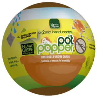 Nema Globe Pot Popper