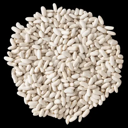 BEANS CANNELLINI OG | 25 LBS