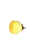 SWITCH YELLOW