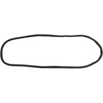 Windshield Gasket