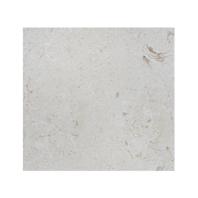 Shell Stone