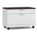 PL1012 TWO DRAWER PERSONAL CABINET- WHITE