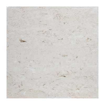 24X24 Shell Stone