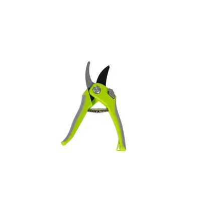 Bypass Pruner