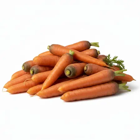 CARROTS OG | 24/2 LBS