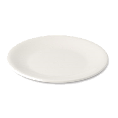 Dinex 9" White Entree Melamine Plates