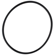 O-Ring (OR-PP-598)