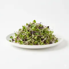 SPROUTS MICROGREENS MIX OG | 8 OZ