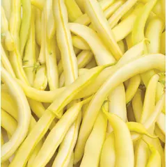 Bean - Kentucky Wonder Wax Yellow (Bulk Seed)