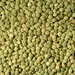 BEANS LENTILS GREEN OG | 25 LBS