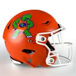 Custom Football Helmet Decals