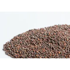 Mumm's Broccoli Sprouts