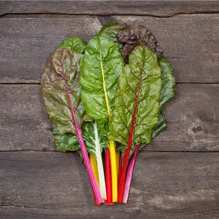 Swiss Chard - Peacock Blend (Organic Seed)