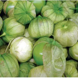 Tomatillo - Toma Verde (Bulk Seed)