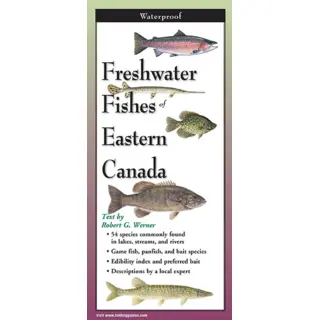 Freshwater Fishes Of Eastern Canada