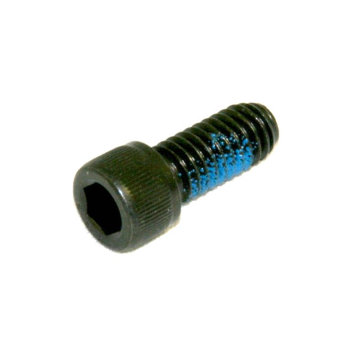 Screw