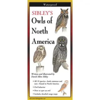 Sibley's Owls Of North America