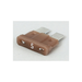 Fuse - 5 Amp