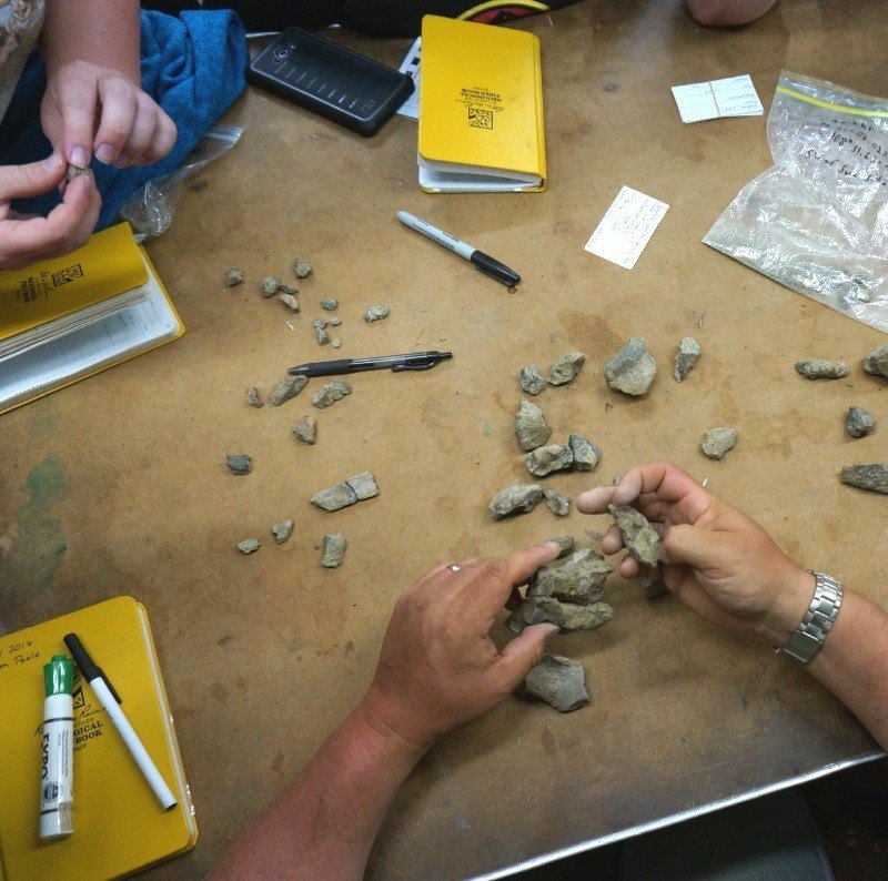 Fossils on table with Rite in the Rain books and pens.