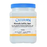 Bismuth Sulfite Agar