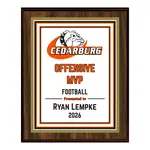 Standard Vividcolor AIO Award Plaques with Metal Border