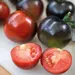 Tomato - Black Indigo Rose (Seed)