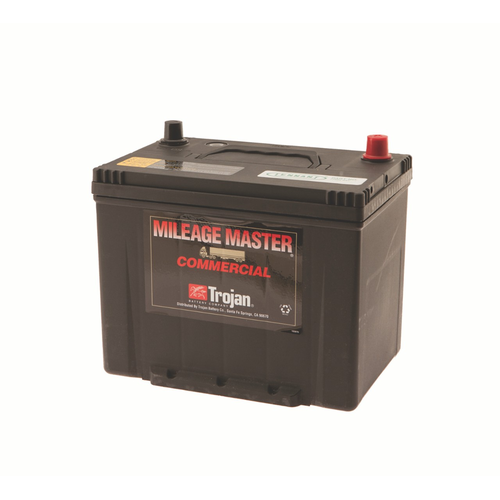 Tennant/Nobles - 4025773 - Battery, Wet, 12Vdc 0700Cca [Tr] (Replaces Tennant 77602)