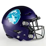 Mascot Football Helmet Decals