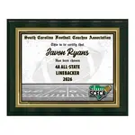 Standard Vividcolor AIO Award Plaques with Metal Border
