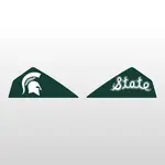 Custom Visor Tab Decals