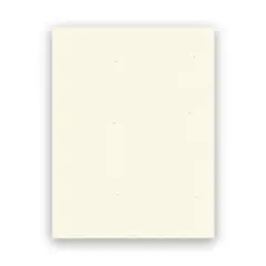 8.5 X 11 24 LB BIRCH ROYAL SUNDANCE COPY PAPER, 95511  500/RM