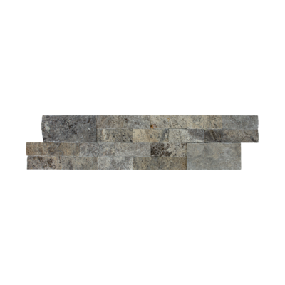 6x24 Silver